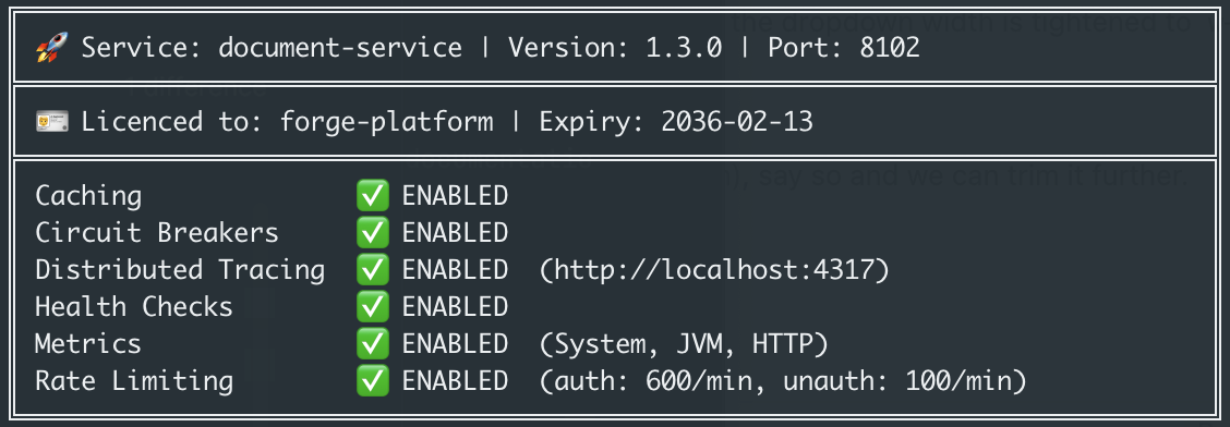 Diagram of Backbone core microservice startup console